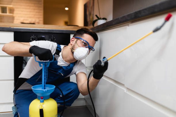 Flea Control Services in Sublette, KS