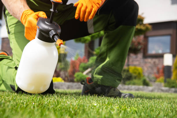 Best Termite Control Services  in Sublette, KS