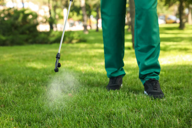 Best Insect Control  in Sublette, KS