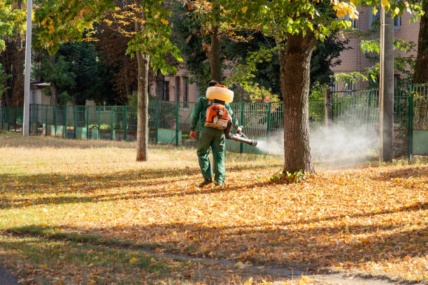 Best Local Pest Control Services  in Sublette, KS