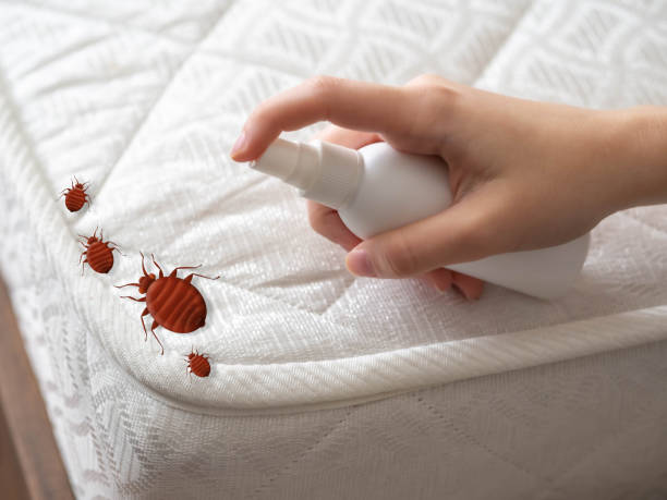 Sublette, KS Pest Control Company