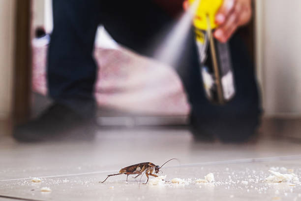 Best Pest Removal Services  in Sublette, KS