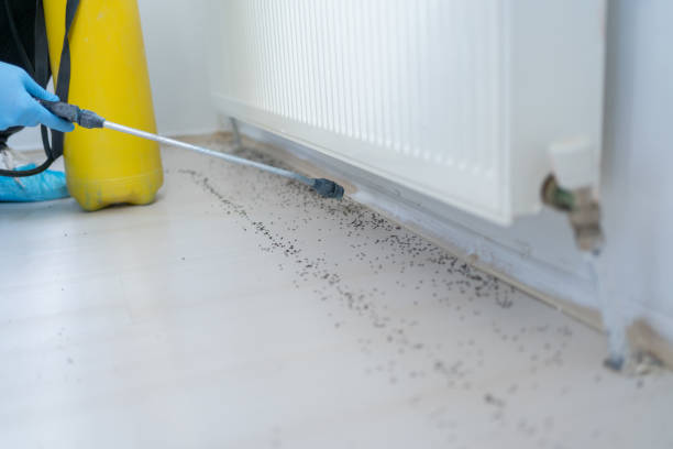 Best Pest Inspection Near Me  in Sublette, KS